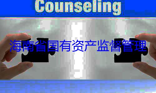 委副书记王查调查有福接受审理委员会党海南省国有资产监督管